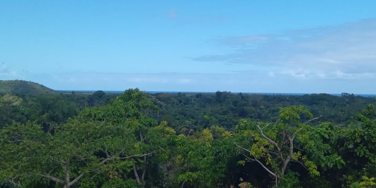 TERRENO EN LAS TERRENAS