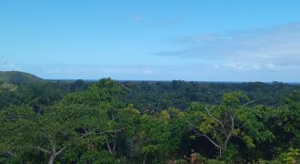 TERRENO EN LAS TERRENAS