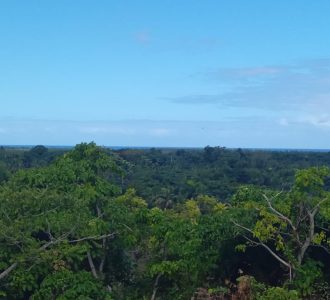 TERRENO EN LAS TERRENAS